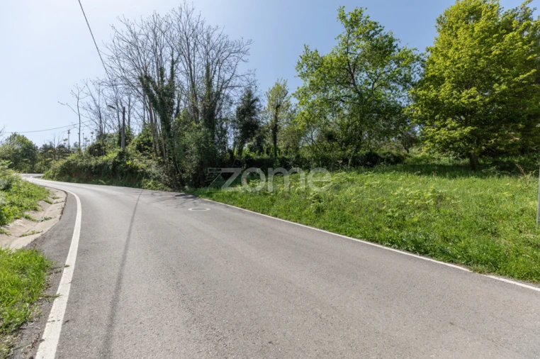 Terreno para Venda em Arganil Foto 15