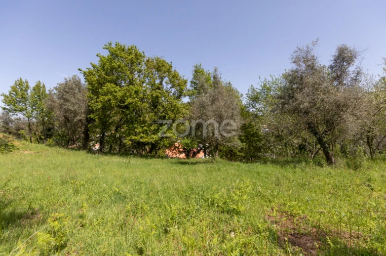 Terreno para Venda em Arganil Foto 17