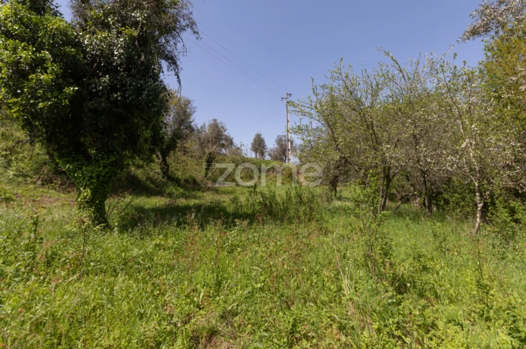 Terreno para Venda em Arganil Foto 20