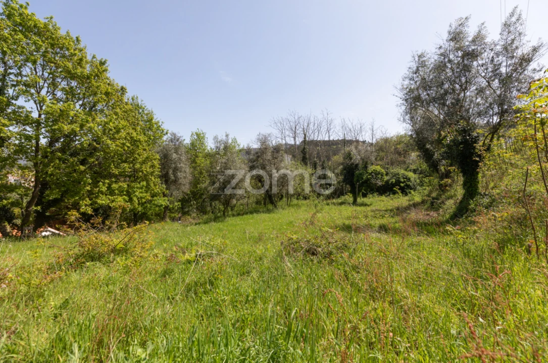 Terreno para Venda em Arganil Foto 16