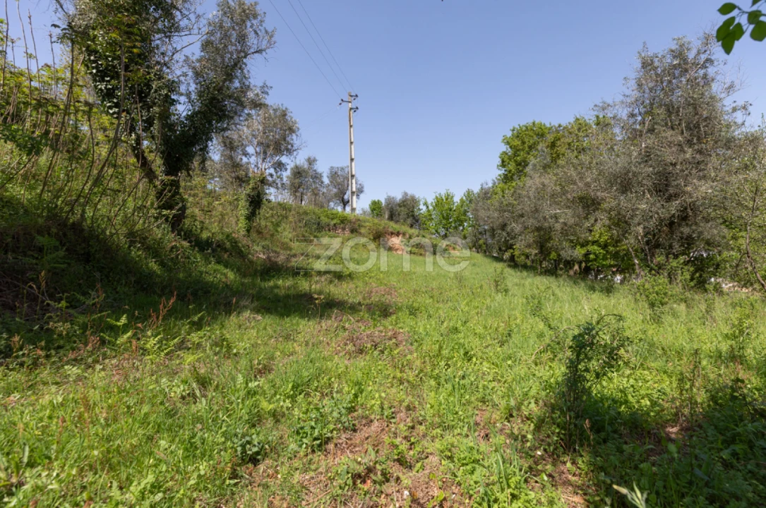 Terreno para Venda em Arganil Foto 18