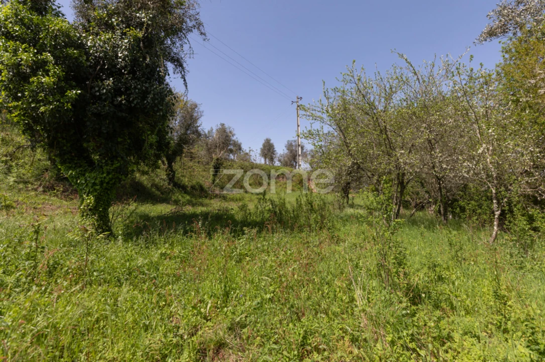 Terreno para Venda em Arganil Foto 20