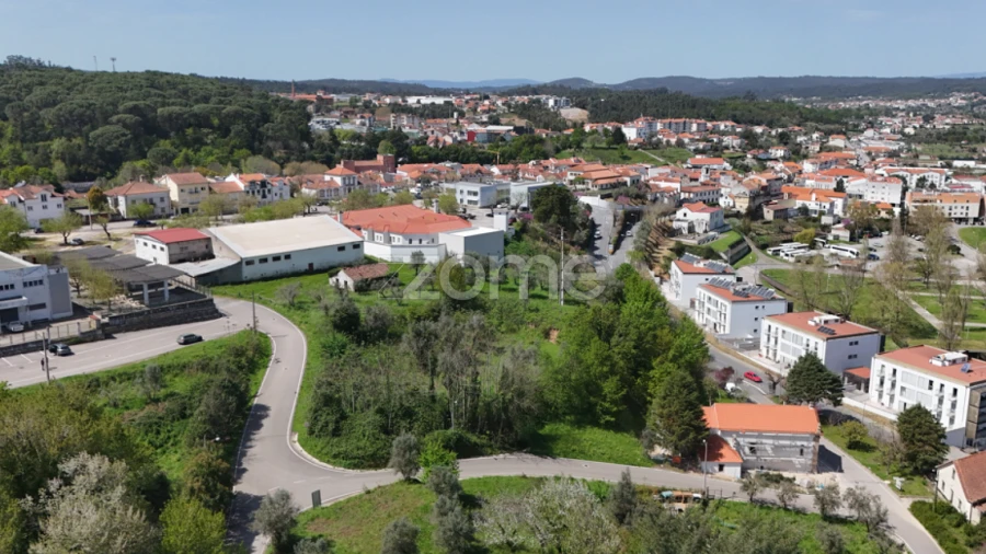 Terreno para Venda em Arganil