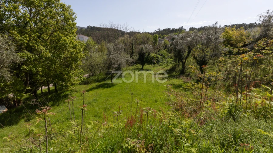 Terreno para Venda em Arganil