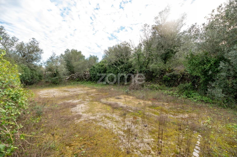 Moradia T3 para Venda em Alvorge Foto 14