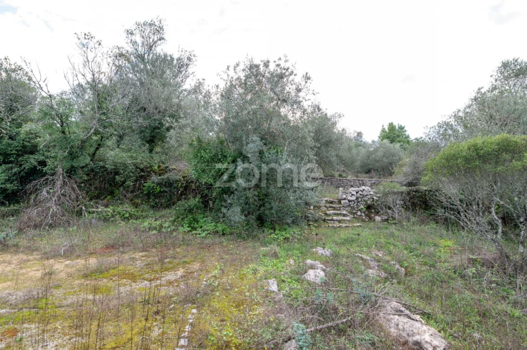 Moradia T3 para Venda em Alvorge Foto 13