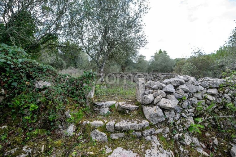 Moradia T3 para Venda em Alvorge Foto 12