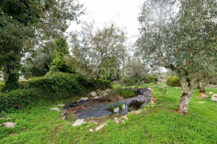 Moradia T3 para Venda em Alvorge Foto 10