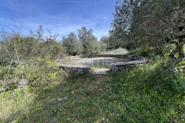 Moradia T3 para Venda em Alvorge Foto 41