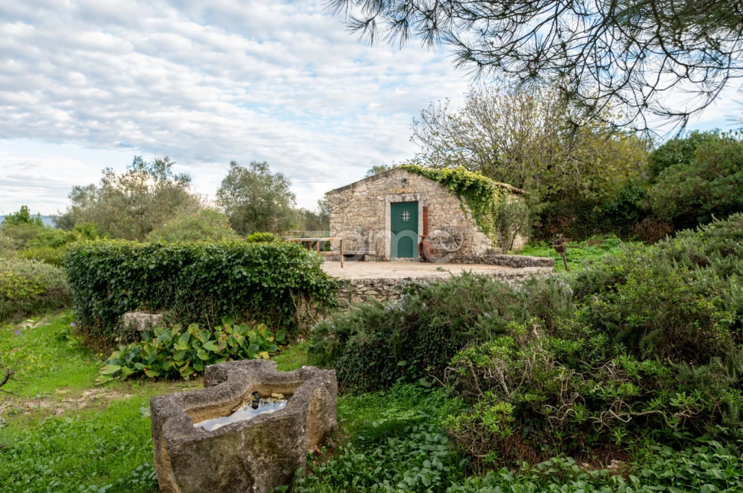 Moradia T3 para Venda em Alvorge Foto 23