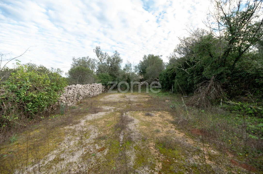 Moradia T3 para Venda em Alvorge Foto 15