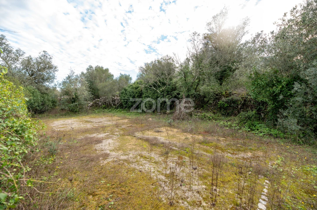 Moradia T3 para Venda em Alvorge Foto 14