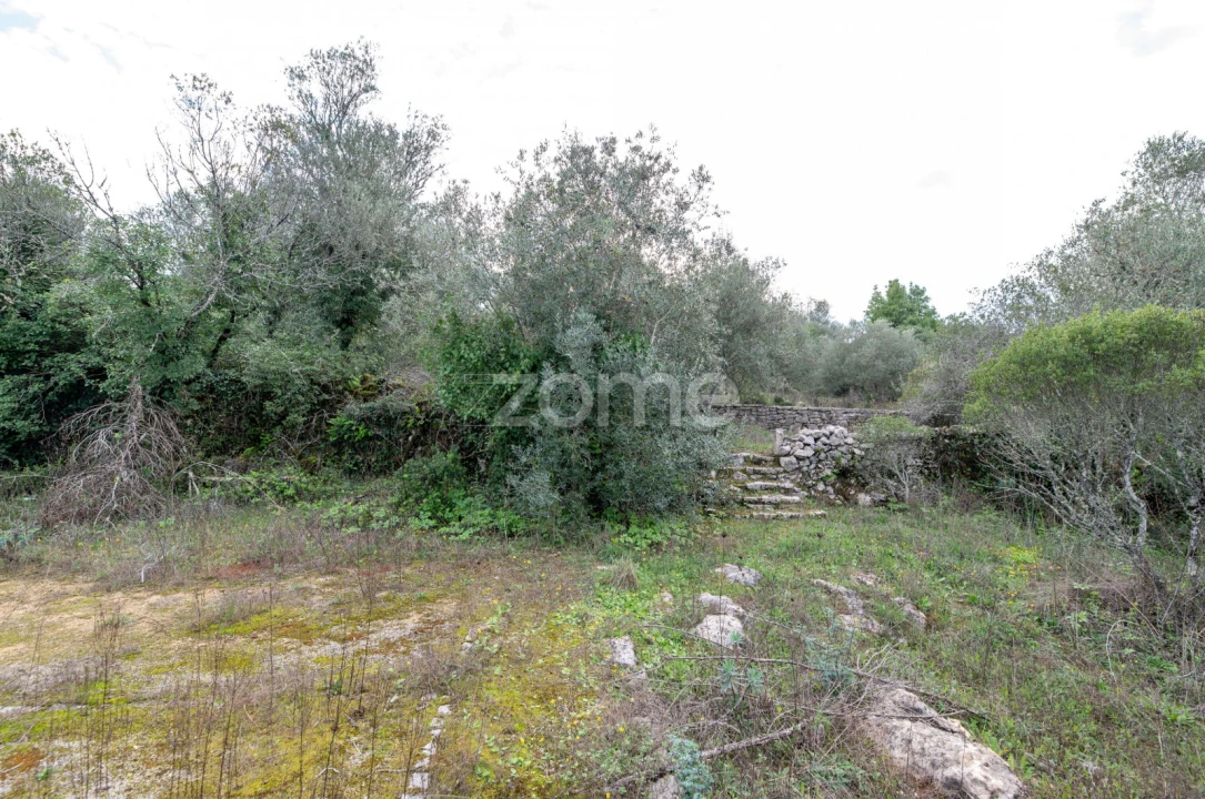 Moradia T3 para Venda em Alvorge Foto 13