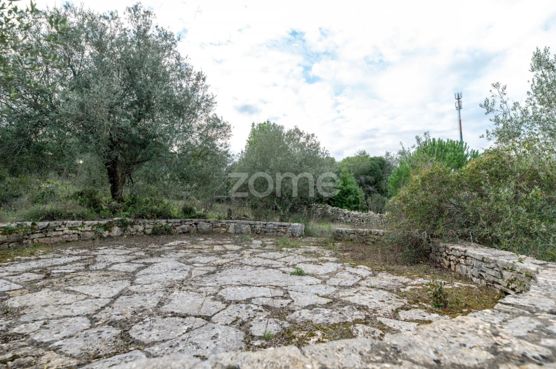 Moradia T3 para Venda em Alvorge Foto 11