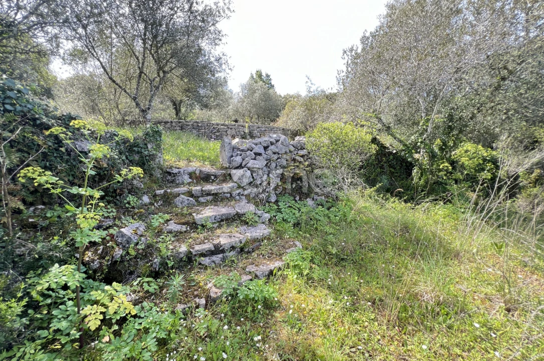 Moradia T3 para Venda em Alvorge Foto 43