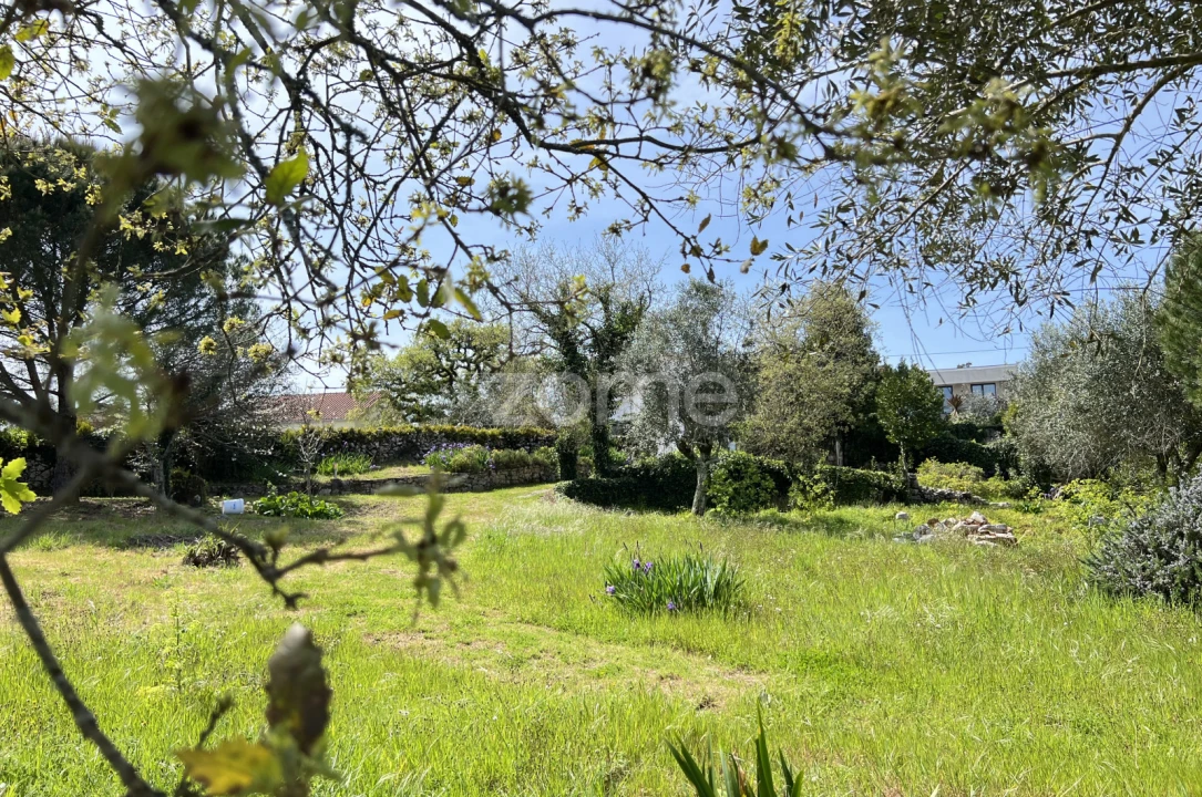 Moradia T3 para Venda em Alvorge Foto 44