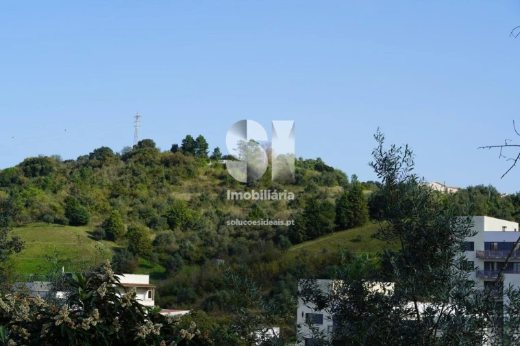Terreno para Venda em Eiras e São Paulo de Frades Foto 3