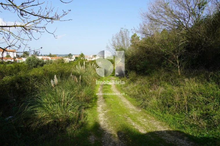 Terreno para Venda em Eiras e São Paulo de Frades Foto 4