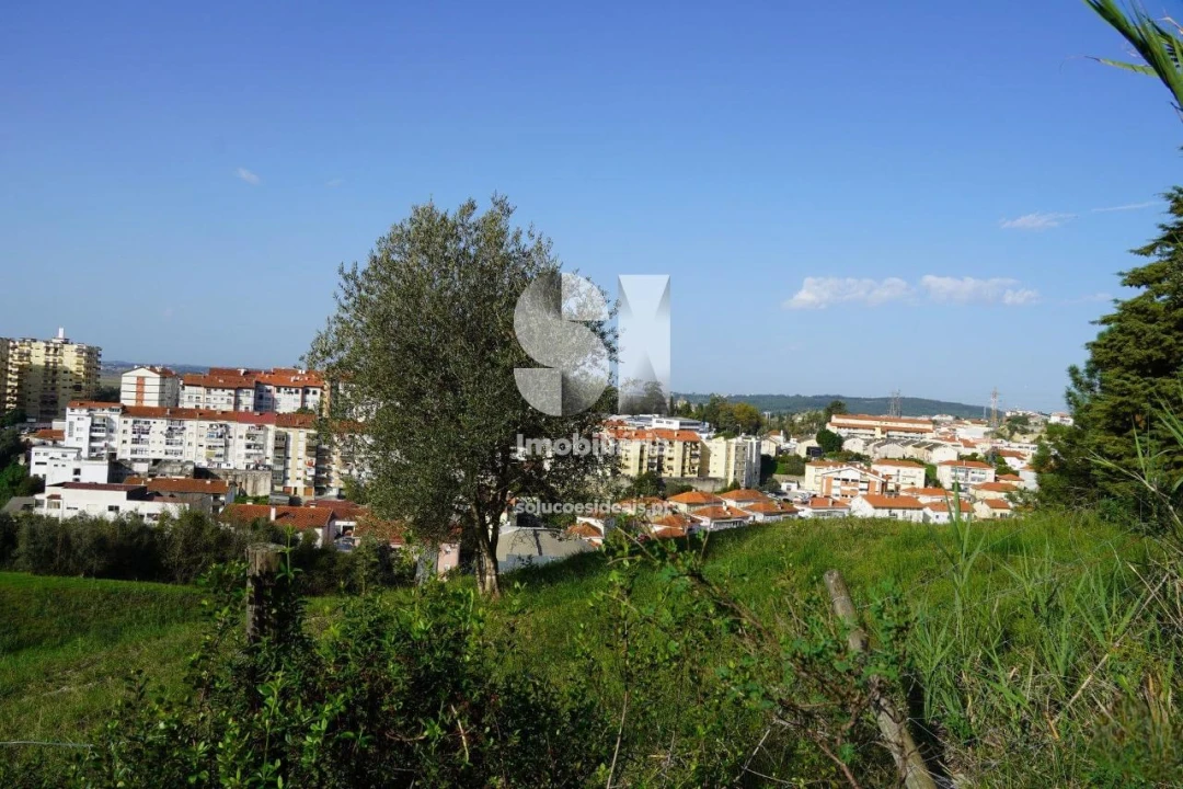 Terreno para Venda em Eiras e São Paulo de Frades Foto 5