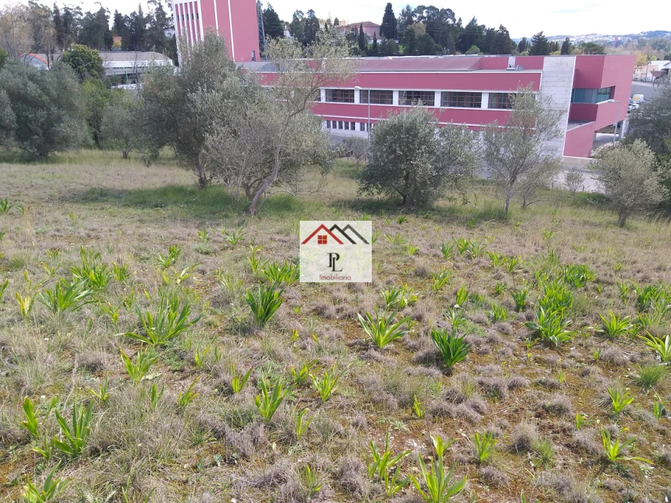 Terreno para Venda em Eiras e São Paulo de Frades Foto 13
