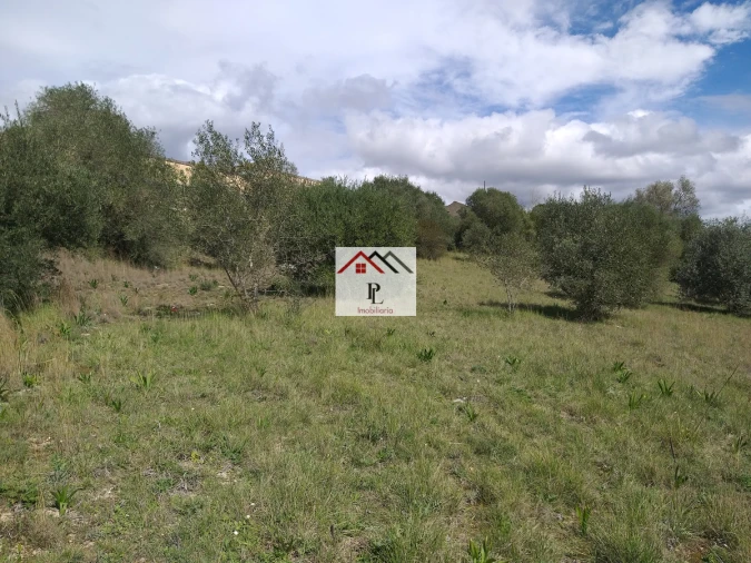 Terreno para Venda em Eiras e São Paulo de Frades Foto 15