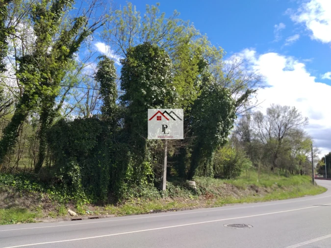 Terreno para Venda em Eiras e São Paulo de Frades Foto 6