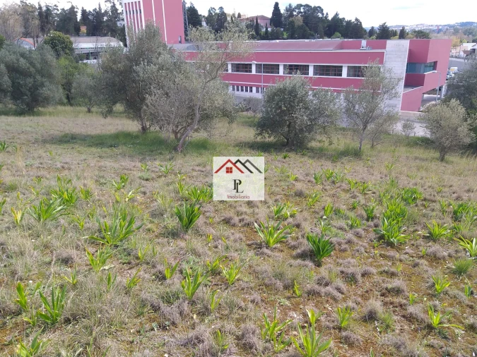 Terreno para Venda em Eiras e São Paulo de Frades Foto 13