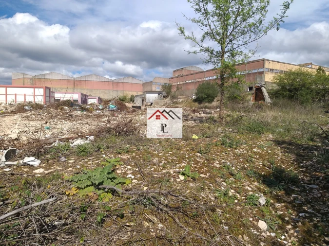 Terreno para Venda em Eiras e São Paulo de Frades Foto 11
