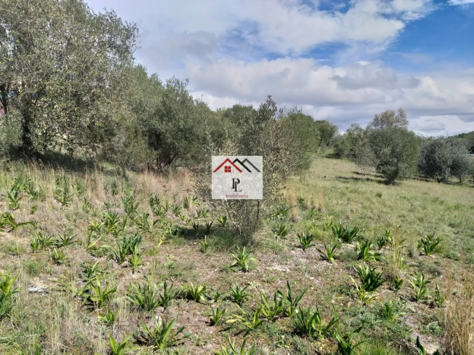 Terreno para Venda em Eiras e São Paulo de Frades Foto 16