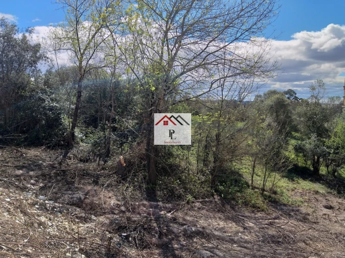 Terreno para Venda em Eiras e São Paulo de Frades Foto 8