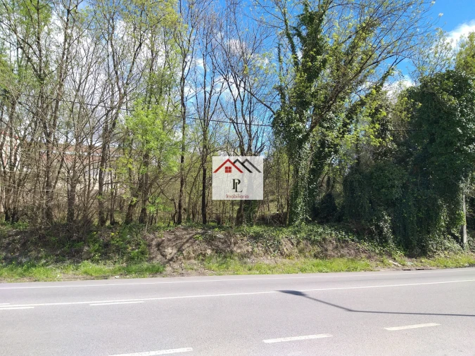 Terreno para Venda em Eiras e São Paulo de Frades Foto 2