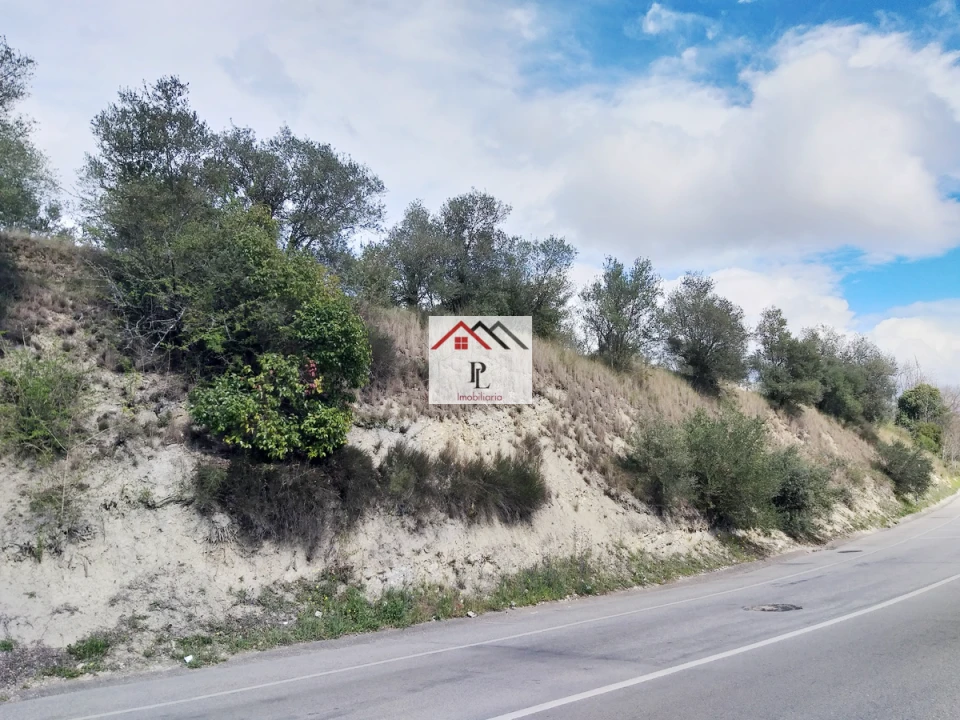 Terreno para Venda em Eiras e São Paulo de Frades Foto 3