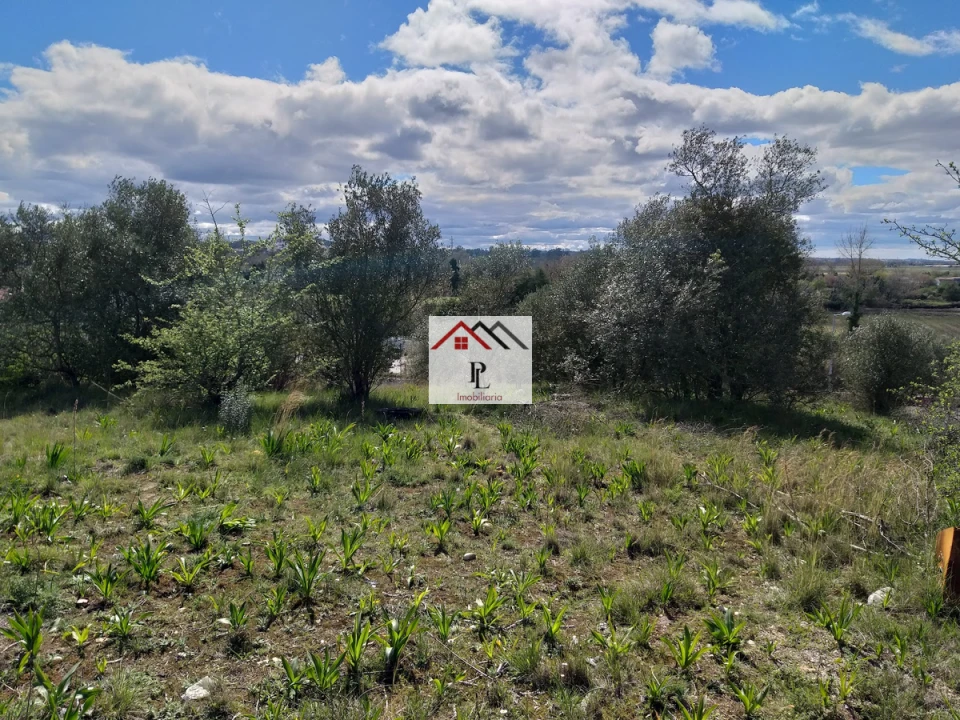 Terreno para Venda em Eiras e São Paulo de Frades Foto 12