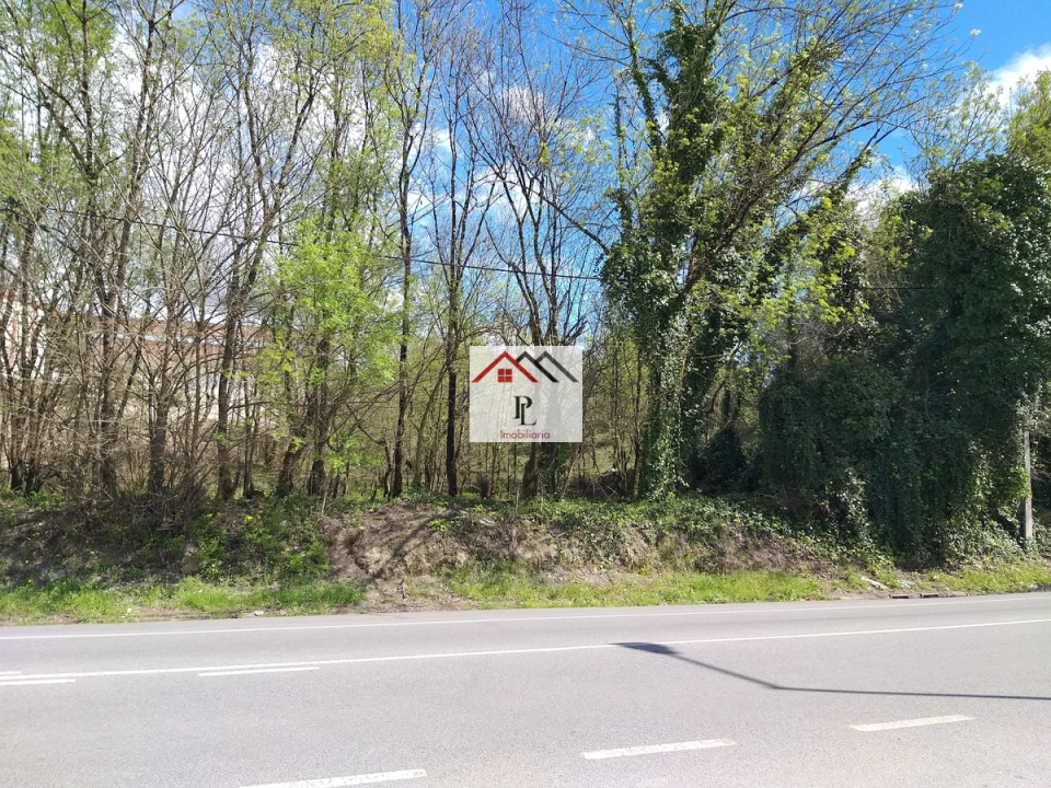 Terreno para Venda em Eiras e São Paulo de Frades Foto 2