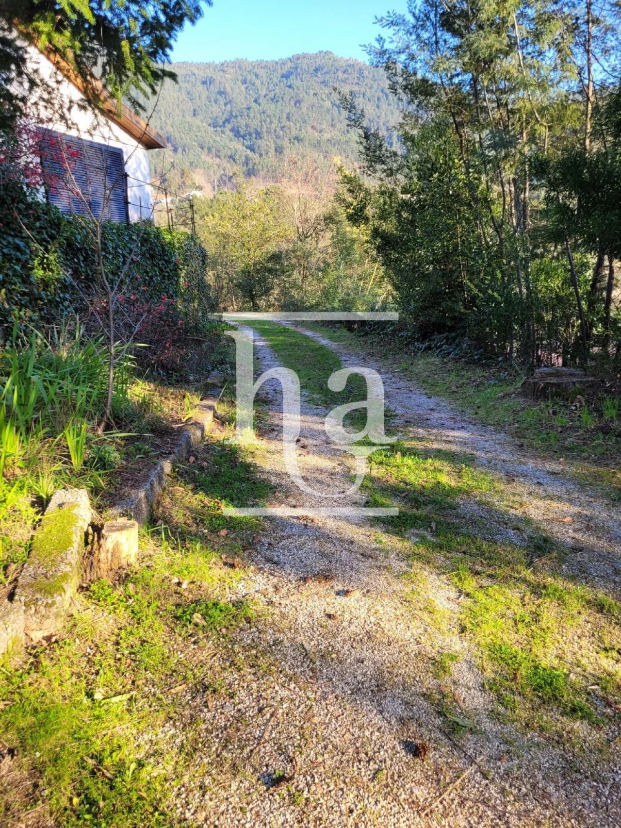 Moradia T4 para Venda em Vilar da Veiga Foto 14