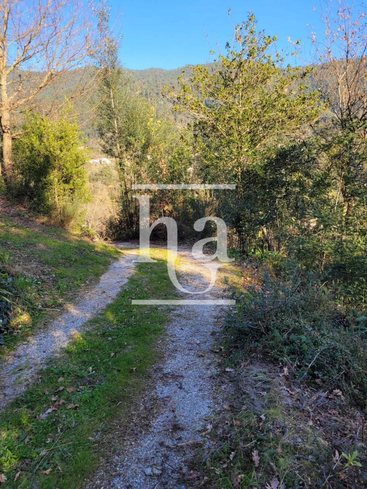 Moradia T4 para Venda em Vilar da Veiga Foto 15