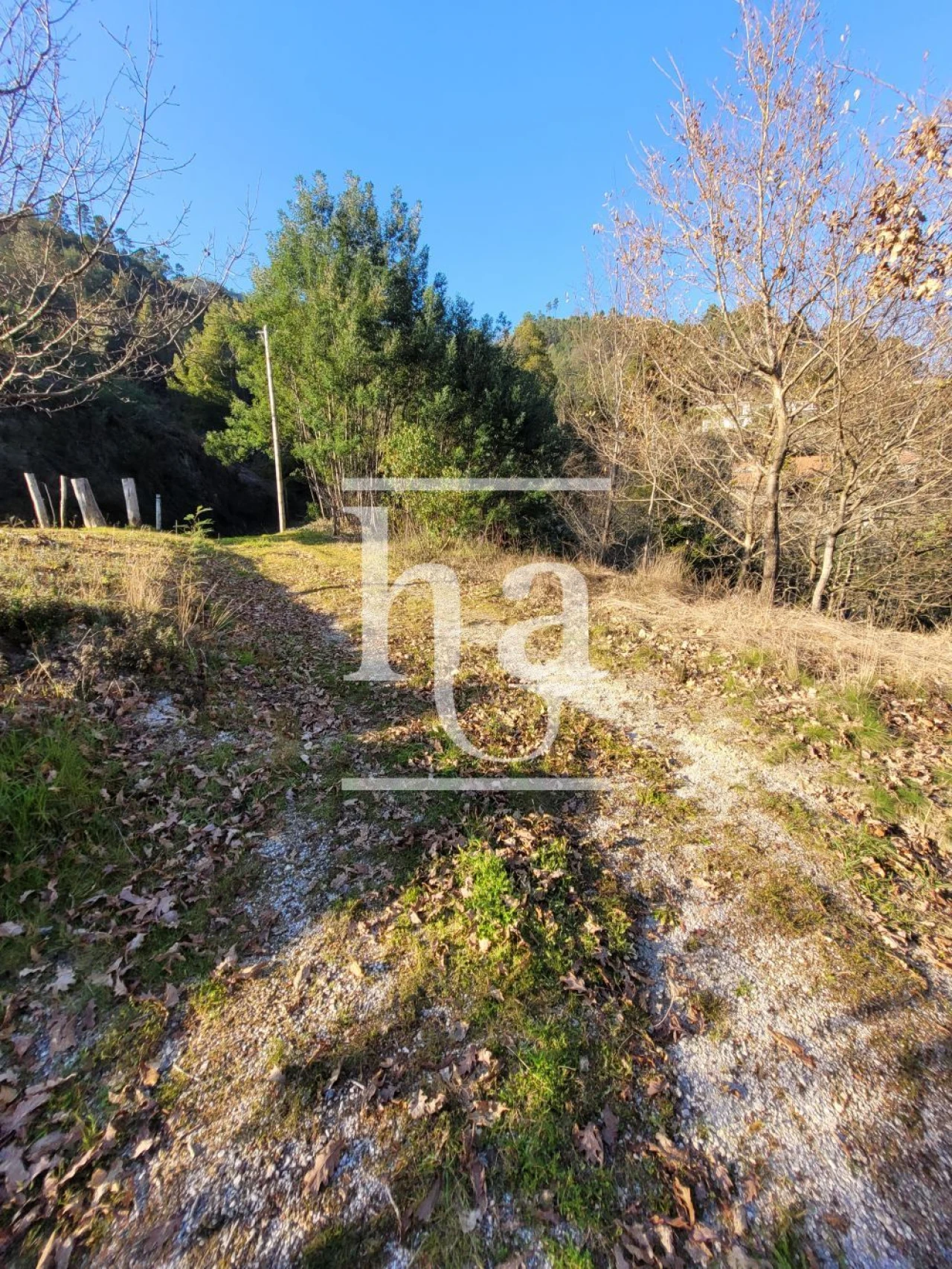 Moradia T4 para Venda em Vilar da Veiga Foto 6