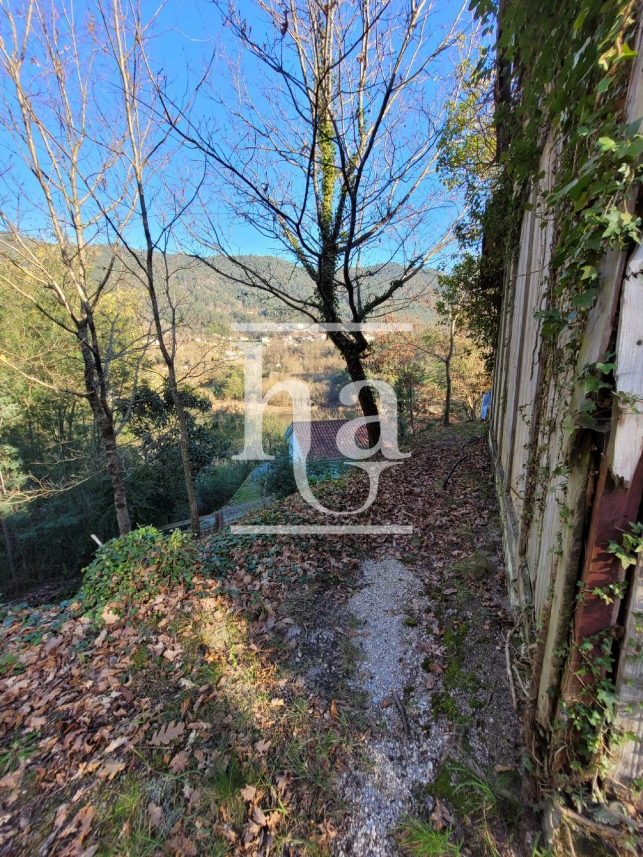 Moradia T4 para Venda em Vilar da Veiga Foto 7