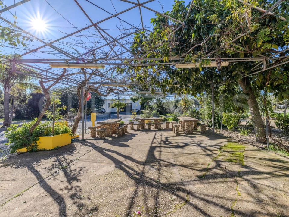 Negócio para Venda em Querença, Tôr e Benafim Foto 3