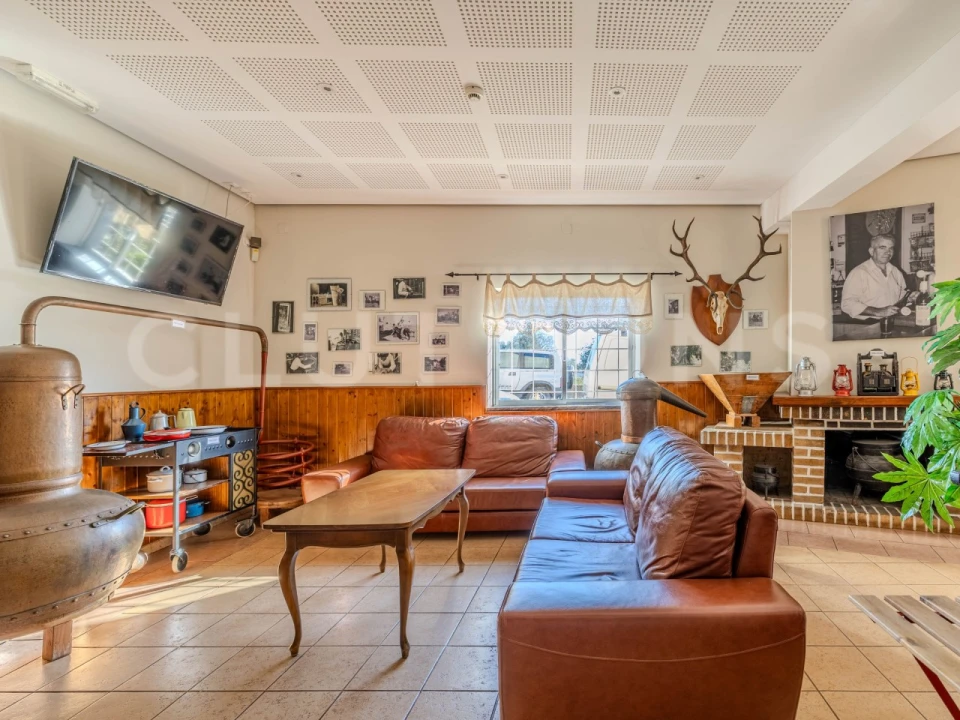 Negócio para Venda em Querença, Tôr e Benafim Foto 5