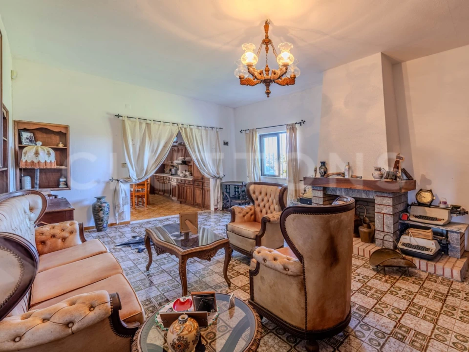 Negócio para Venda em Querença, Tôr e Benafim Foto 25