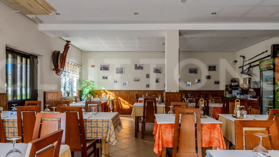 Negócio para Venda em Querença, Tôr e Benafim
