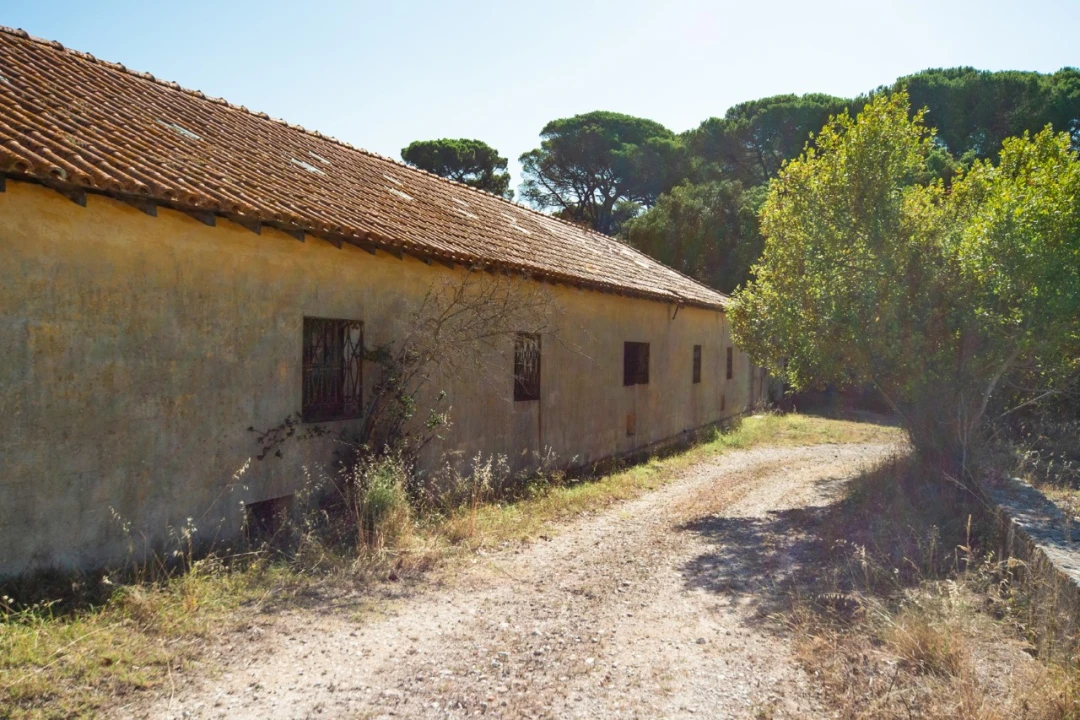 Quinta T12 para Venda em União das Freguesias de Setúbal Foto 29