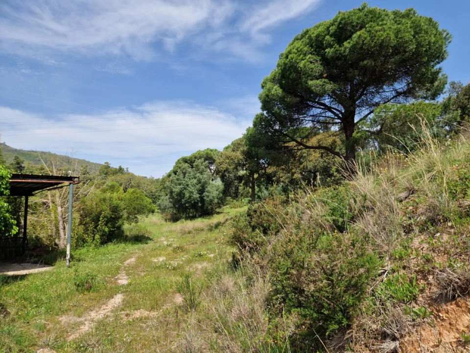 Quinta T12 para Venda em União das Freguesias de Setúbal Foto 39