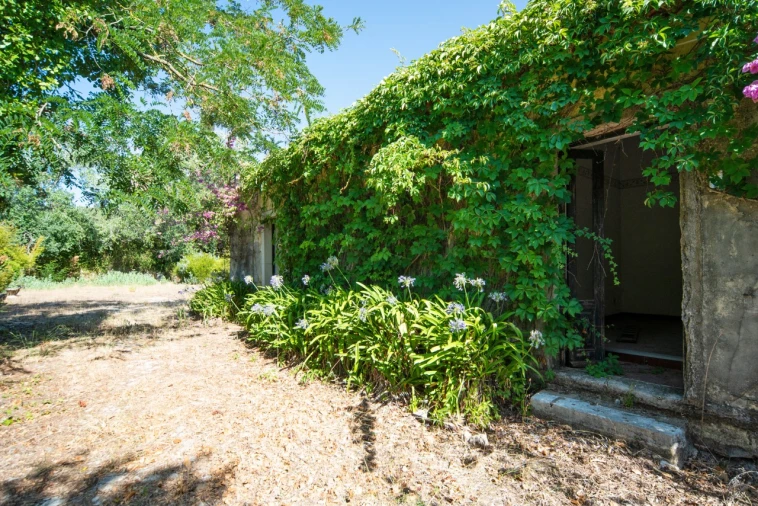 Quinta T12 para Venda em União das Freguesias de Setúbal Foto 21