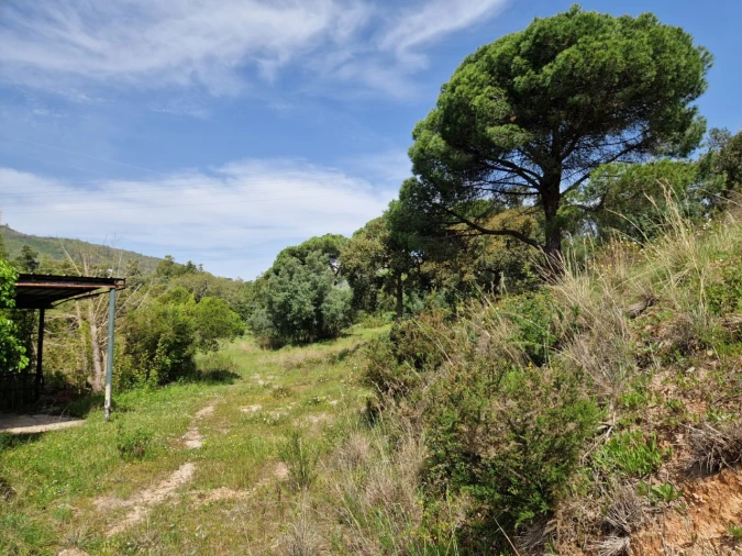 Quinta T12 para Venda em União das Freguesias de Setúbal Foto 39