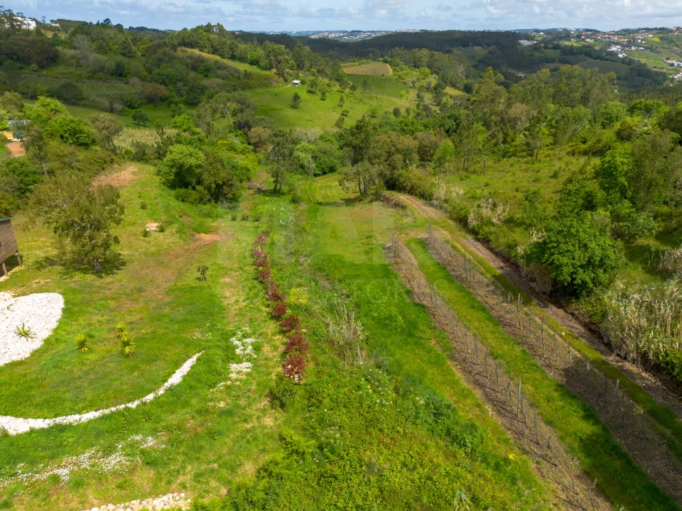 Moradia T5 para Venda em Carvalhal Benfeito Foto 9