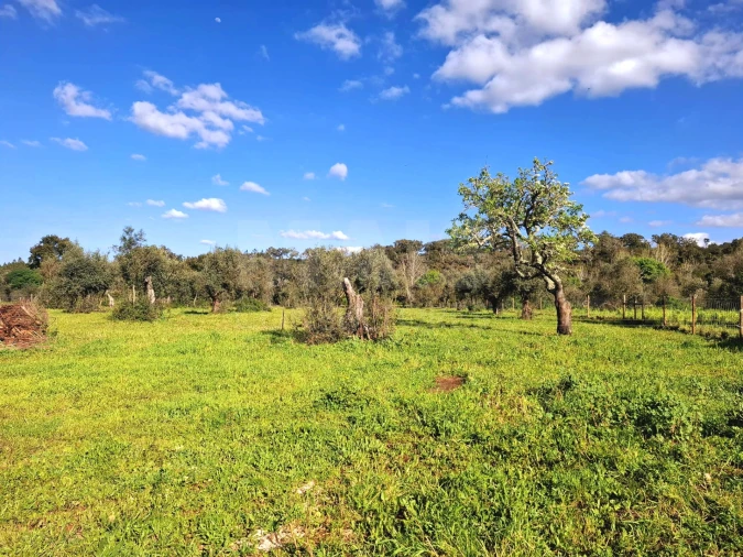 Moradia T4 para Venda em Cercal Foto 6