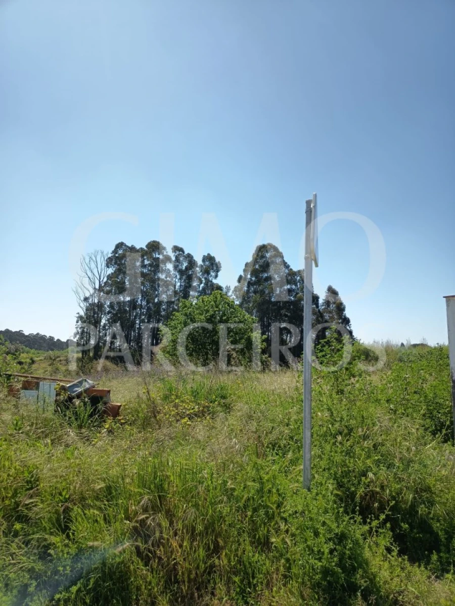 Terreno para Venda em Oiã Foto 3