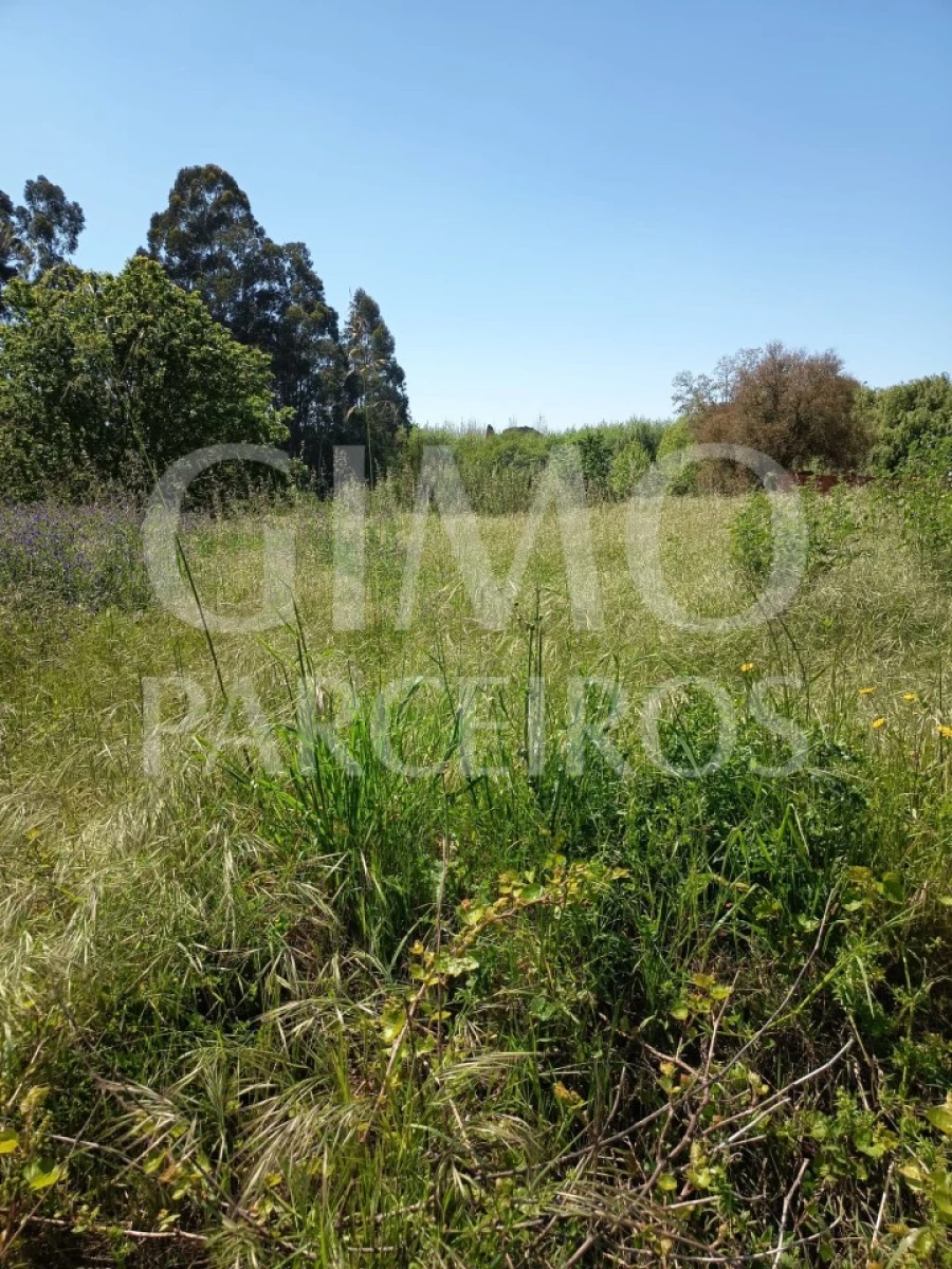 Terreno para Venda em Oiã Foto 4